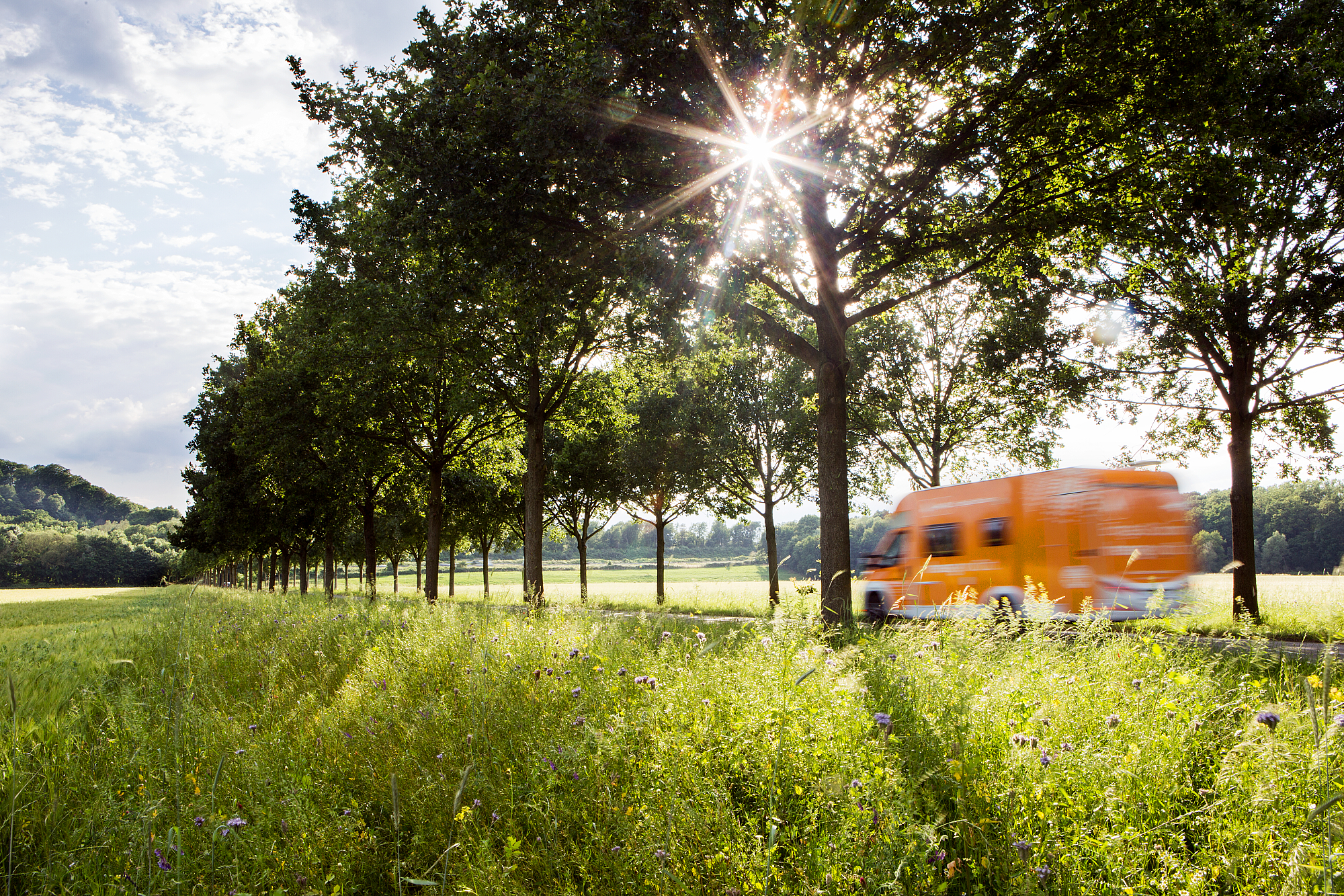 Das rhenag Beratungsmobil fährt durch eine Allee im Grünen.